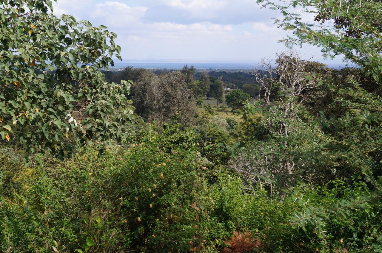 Arusha Villa Karamu Coffee Estate Usa River Exterior foto